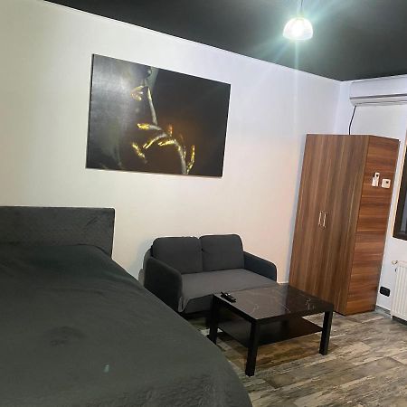 Spacious & Luxury Center Studio ブカレスト エクステリア 写真